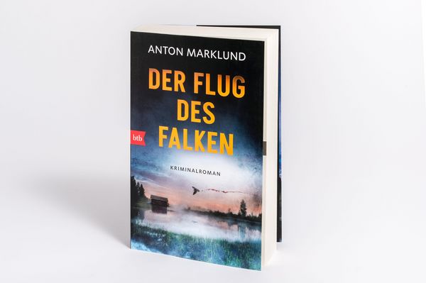 Produktbild: Der Flug des Falken