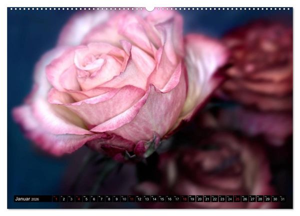 Produktbild: Flowers / 2026 (hochwertiger Premium Wandkalender 2026 DIN A2 quer), Kunstdruck in Hochglanz