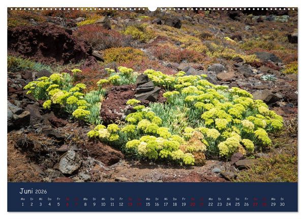 Produktbild: Naturwunder Madeira (hochwertiger Premium Wandkalender 2026 DIN A2 quer), Kunstdruck in Hochglanz