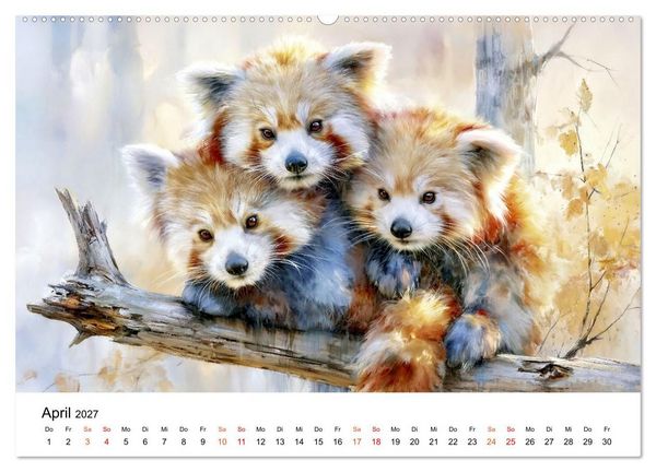Produktbild: Roter Panda - Tierische Eleganz (Wandkalender 2027 DIN A2 quer), CALVENDO Monatskalender