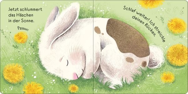 Produktbild: Streichle das kleine H&auml;schen