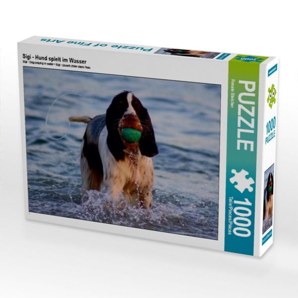 CALVENDO Puzzle Sigi - Hund spielt im Wasser | 1000 Teile Lege-Größe 64x48cm Foto-Puzzle für glückliche Stunden