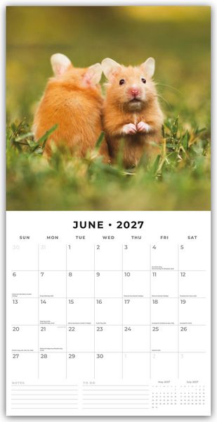 Produktbild: Hamsters &ndash; Hamster 2027 &ndash; 16-Monatskalender