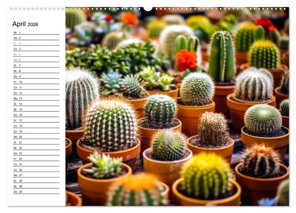 Produktbild: Kaktuszauberland (Wandkalender 2026 DIN A2 quer), CALVENDO Monatskalender