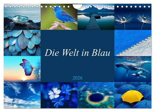 Produktbild: Die Welt in Blau (Wandkalender 2026 DIN A4 quer), CALVENDO Monatskalender