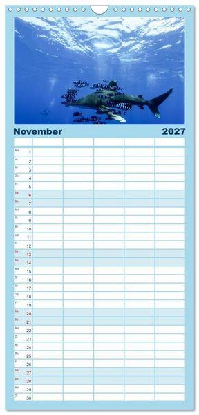 Produktbild: Familienplaner 2027 - Tauchen, Fische und Meer mit 5 Spalten (Wandkalender, 21 x 45 cm) CALVENDO