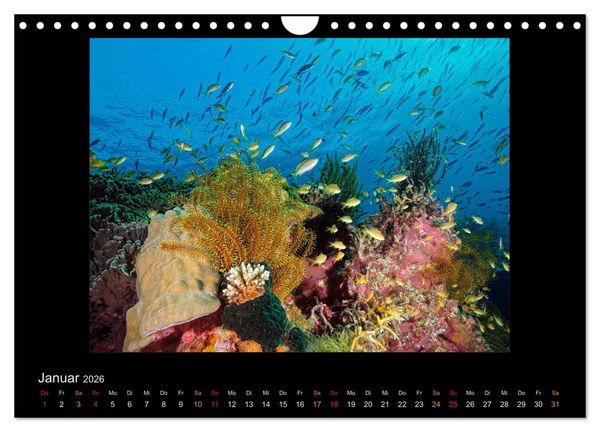 Produktbild: OCEAN - ART (Wandkalender 2026 DIN A4 quer), CALVENDO Monatskalender