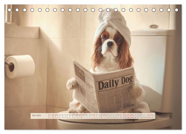 Produktbild: Cavalier King Charles Spaniel. Die lustigsten Cavalier Momente des Jahres. (Tischkalender 2026 DIN A5 quer), CALVENDO Monatskalender