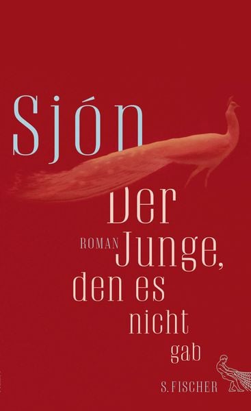 Produktbild: Der Junge, den es nicht gab