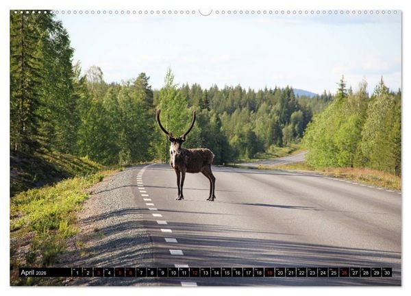 Produktbild: Sommer in Schwedens Lappland (Wandkalender 2026 DIN A2 quer), CALVENDO Monatskalender