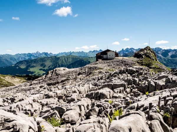 Produktbild: Ifen Hahnenk&ouml;pfle (Puzzle)