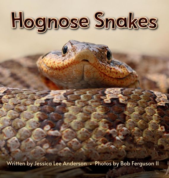 Produktbild: Hognose Snakes