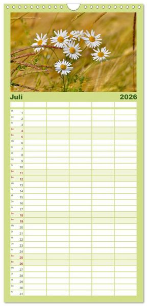 Produktbild: Familienplaner 2026 - Wildblumen 2026 mit 5 Spalten (Wandkalender, 21 x 45 cm) CALVENDO