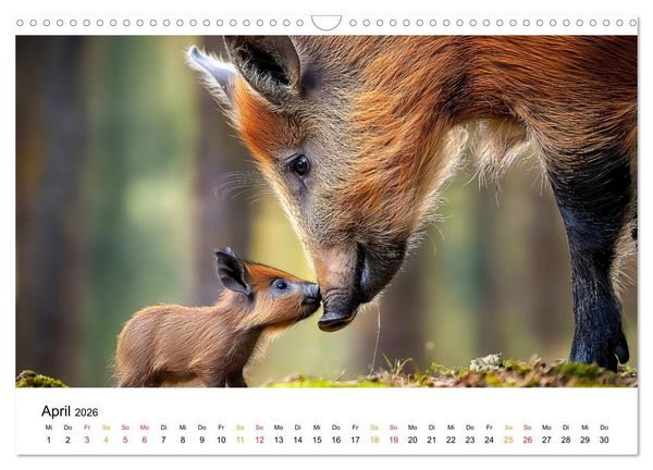 Produktbild: Tierm&uuml;tter - die sanfte Seite der Wildnis (Wandkalender 2026 DIN A3 quer), CALVENDO Monatskalender