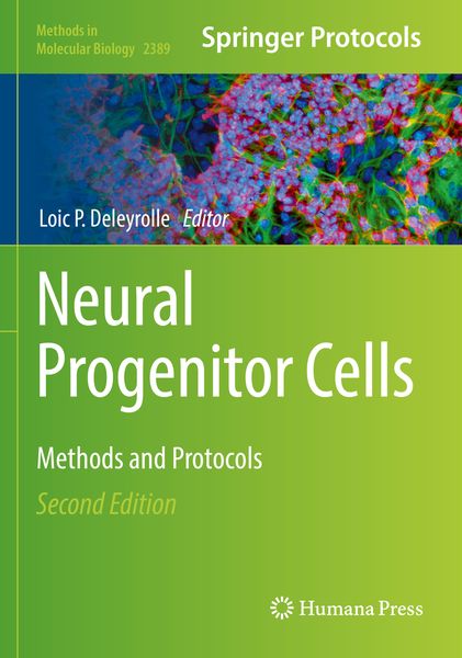 Produktbild: Neural Progenitor Cells