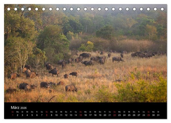 Produktbild: Wundersch&ouml;nes S&uuml;dafrika (Tischkalender 2026 DIN A5 quer), CALVENDO Monatskalender