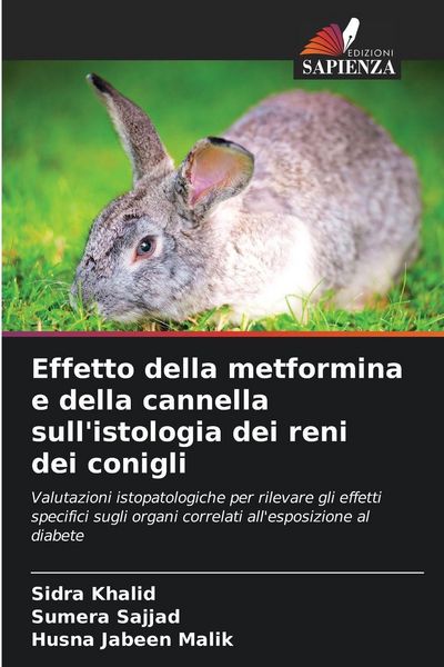 Produktbild: Effetto della metformina e della cannella sull'istologia dei reni dei conigli