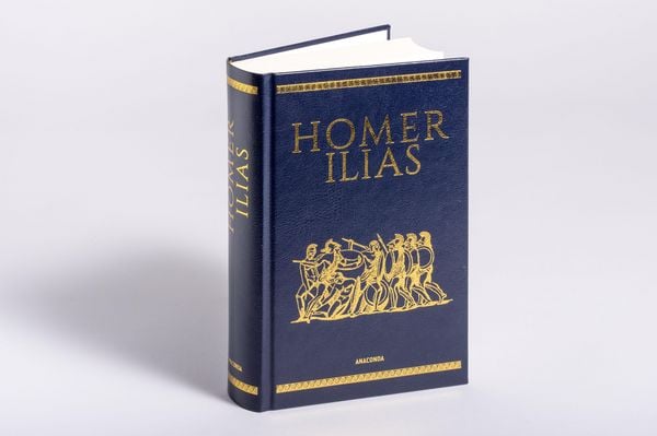 Produktbild: Homer, Ilias