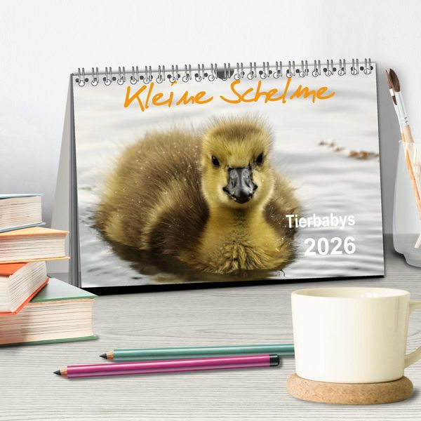 Produktbild: Kleine Schelme - Tierbabys (Tischkalender 2026 DIN A5 quer), CALVENDO Monatskalender