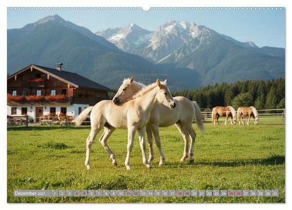 Produktbild: Alpent&auml;ler und Haflinger Pferde (Wandkalender 2027 DIN A2 quer), CALVENDO Monatskalender