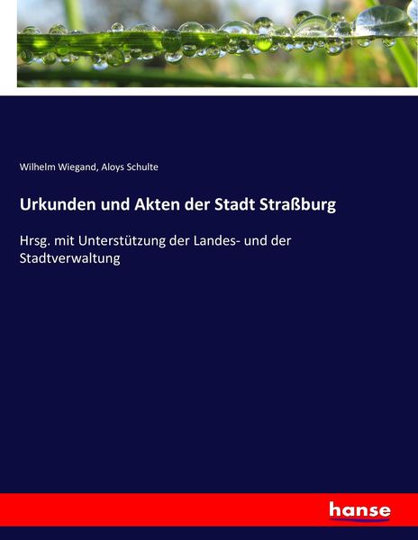 Urkunden und Akten der Stadt Straßburg, Taschenbuch von Wilhelm Wiegand,Aloys Schulte, Hansebooks, 978-3-7434-9314-8