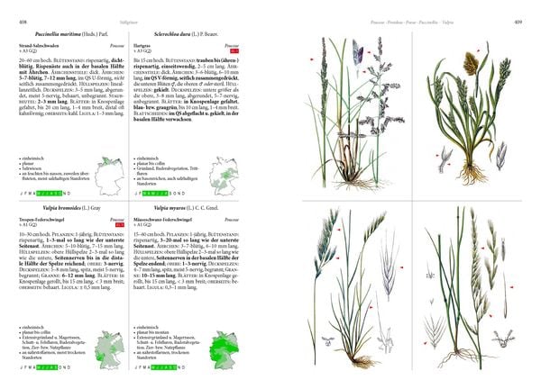 Produktbild: Die Flora von Deutschland. Alle heimischen Arten
