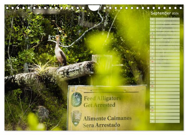 Produktbild: Amerikanische Ostk&uuml;ste (Wandkalender 2026 DIN A4 quer), CALVENDO Monatskalender