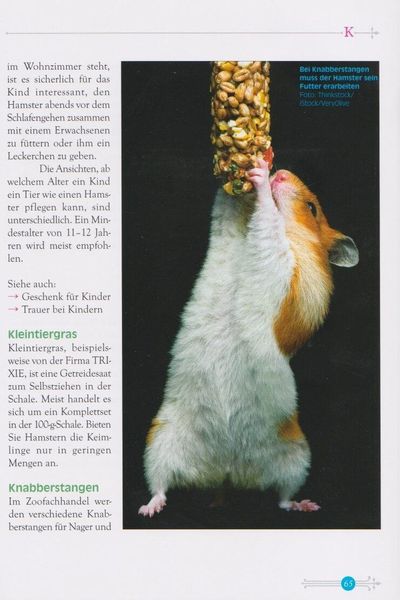 Produktbild: Das kleine Hamsterlexikon