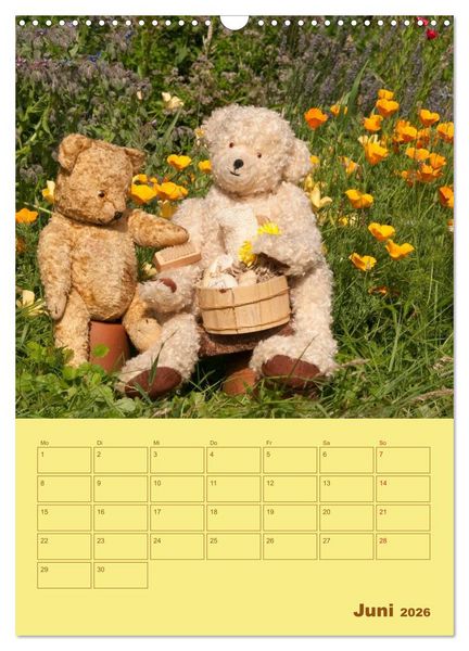 Produktbild: B&auml;renstarker Planer f&uuml;r das Jahr &ndash; Teddys (Wandkalender 2026 DIN A3 hoch), CALVENDO Monatskalender