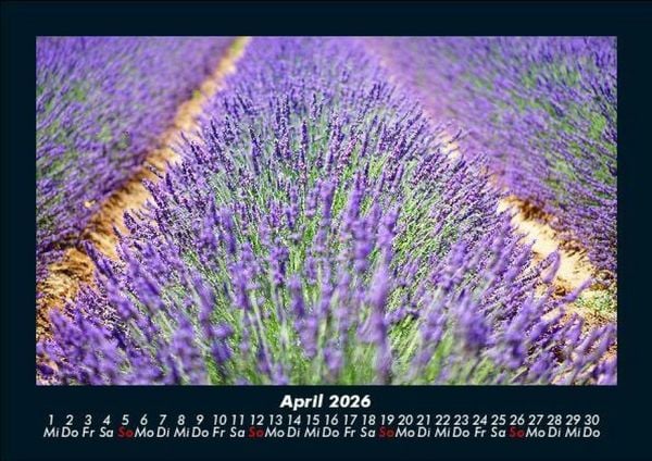 Produktbild: Blumentr&auml;ume 2026 Fotokalender DIN A5