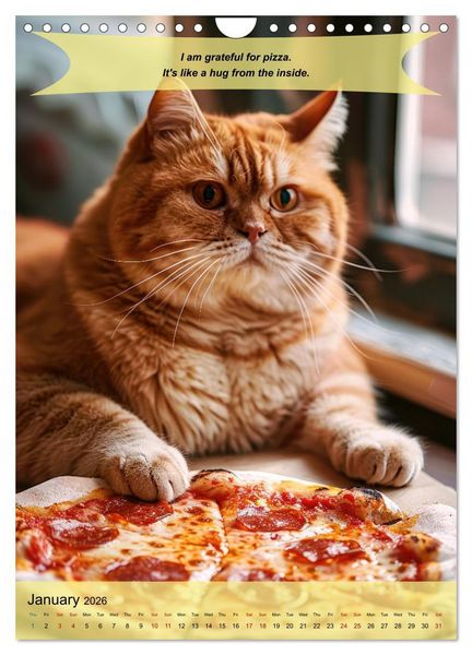 Produktbild: A year of greatfullness with funny animals (Wall Calendar 2026 DIN A4 portrait), CALVENDO 12 Month Wall Calendar