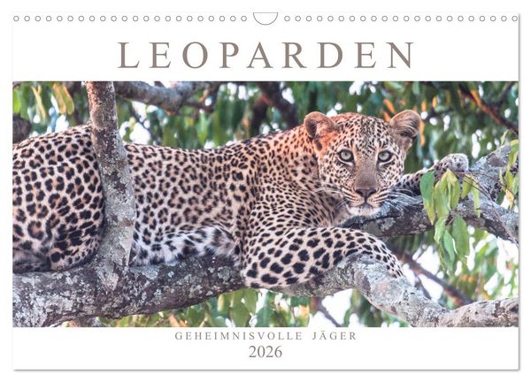 Produktbild: Leoparden - Geheimnisvolle J&auml;ger (Wandkalender 2026 DIN A3 quer), CALVENDO Monatskalender