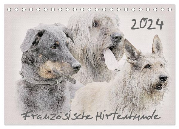 Französische Hirtenhunde 2024 (Tischkalender 2024 DIN A5 quer), CALVENDO Monatskalender