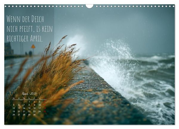 Produktbild: Moin Moin ist schon gesabbel - Norddeutscher Spr&uuml;che-Kalender (Wandkalender 2027 DIN A3 quer), CALVENDO Monatskalender