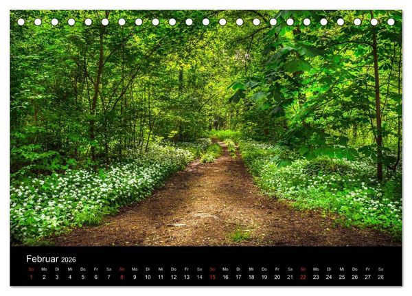 Produktbild: Mannheimer Waldpark (Tischkalender 2026 DIN A5 quer), CALVENDO Monatskalender