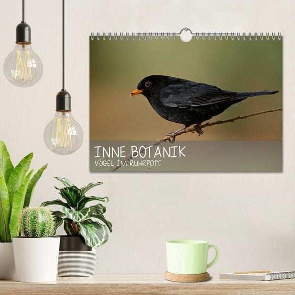 Produktbild: INNE BOTANIK - V&ouml;gel im Ruhrpott (Wandkalender 2026 DIN A4 quer), CALVENDO Monatskalender