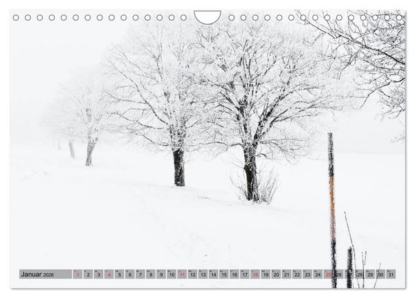 Produktbild: Franken WildRomantisch (Wandkalender 2026 DIN A4 quer), CALVENDO Monatskalender