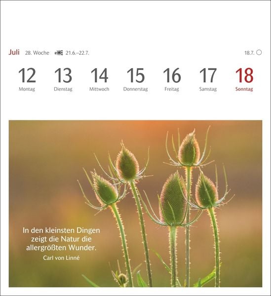 Produktbild: Momente des Gl&uuml;cks Postkartenkalender 2027 - Wochenkalender mit Zitaten, mit 53 Postkarten
