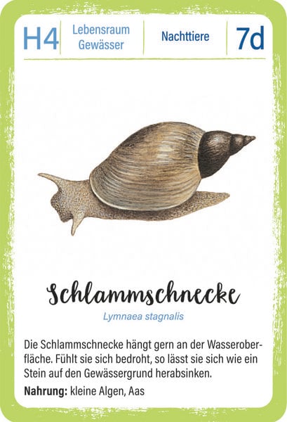 Produktbild: Expedition Natur Quartett Waldtiere