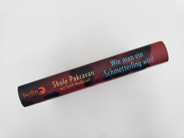 Produktbild: Wie man ein Schmetterling wird