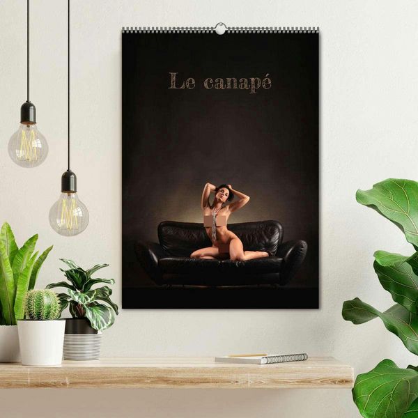 Produktbild: Le canap&eacute; (Calendrier mural 2026 DIN A2 horizontal), CALVENDO calendrier mensuel