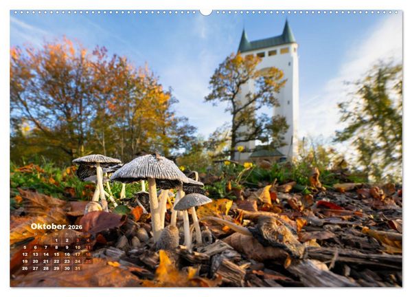 Produktbild: Fantastische Pilzwelten (Wandkalender 2026 DIN A2 quer), CALVENDO Monatskalender