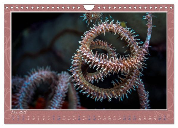 Produktbild: Unterwasser Kunstwerke (Wandkalender 2026 DIN A4 quer), CALVENDO Monatskalender