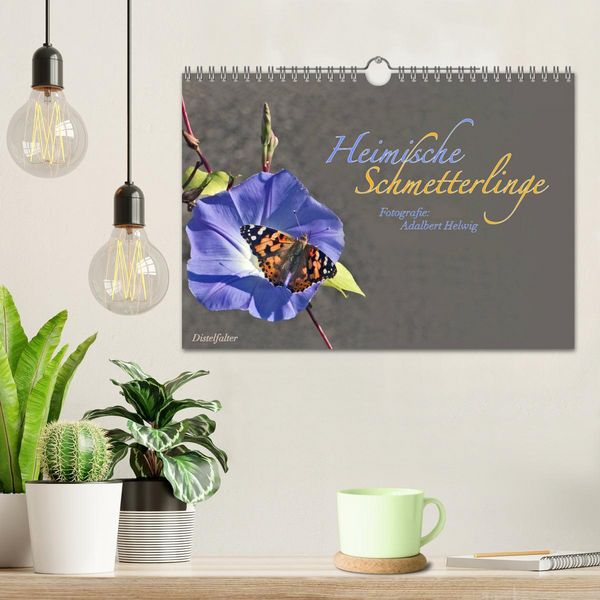 Produktbild: Heimische Schmetterlinge (Wandkalender 2026 DIN A4 quer), CALVENDO Monatskalender