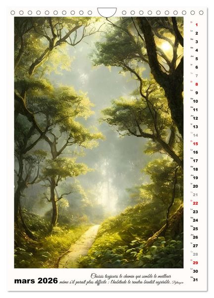 Produktbild: Chemins de fantaisie (Calendrier mural 2026 DIN A4 horizontal), CALVENDO calendrier mensuel