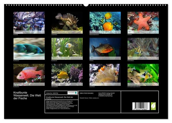 Produktbild: Knallbunte Wasserwelt. Die Welt der Fische (hochwertiger Premium Wandkalender 2026 DIN A2 quer), Kunstdruck in Hochglanz