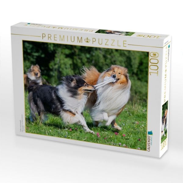 Produktbild: CALVENDO Puzzle Collies sind verspielt | 1000 Teile Lege-Gr&ouml;&szlig;e 64x48cm Foto-Puzzle f&uuml;r gl&uuml;ckliche Stunden