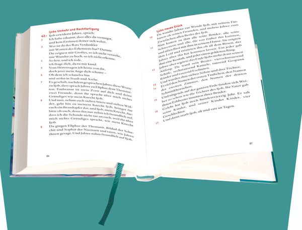 Produktbild: Das Buch Ijob