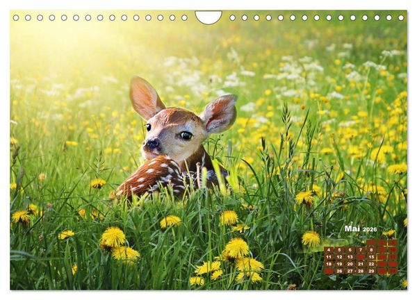 Produktbild: Tiere in freier Wildbahn by VogtArt (Wandkalender 2026 DIN A4 quer), CALVENDO Monatskalender