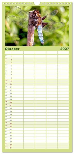 Produktbild: Familienplaner 2027 - INSEKTEN - Makrofotografie in freier Natur mit 5 Spalten (Wandkalender, 21 x 45 cm) CALVENDO